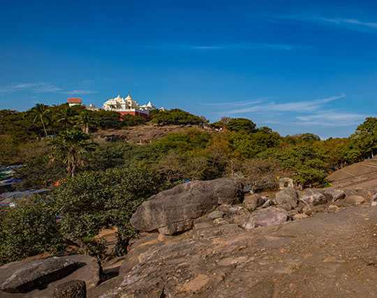 Instagram post image