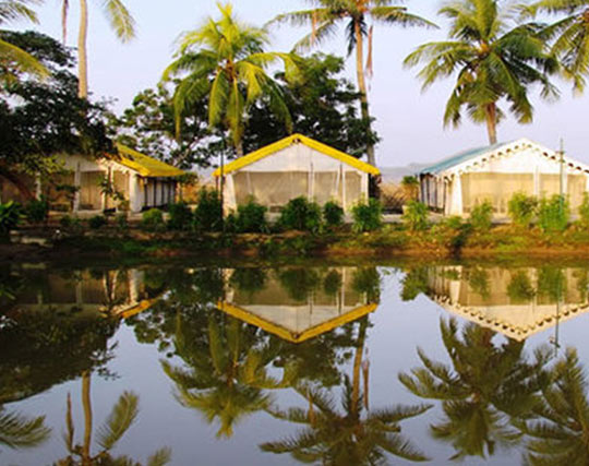 Instagram post image