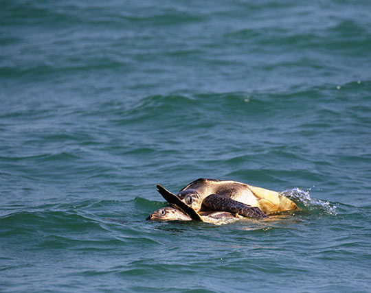 Instagram post image