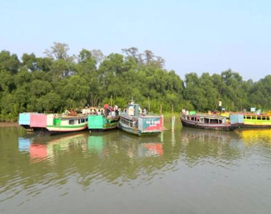 Instagram post image