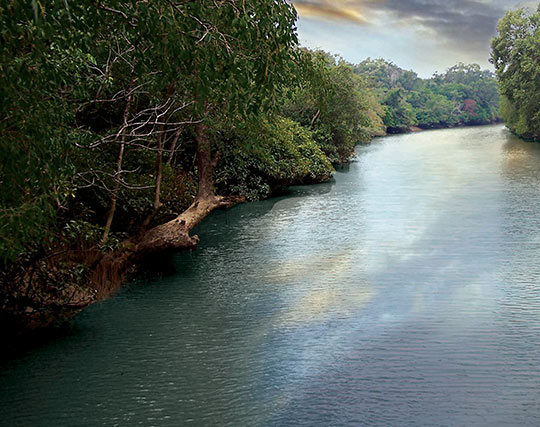 Instagram post image