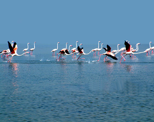 Instagram post image