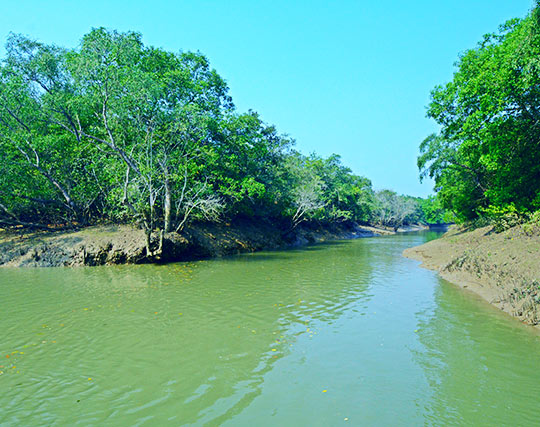 Instagram post image