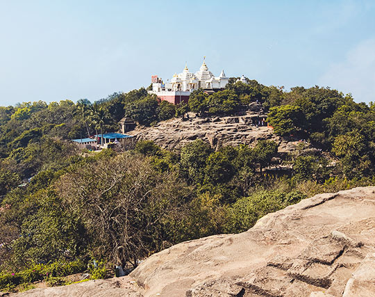 Instagram post image