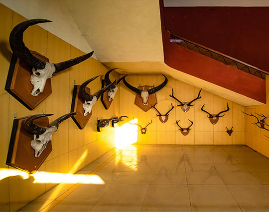 Instagram post image