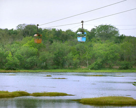 Instagram post image