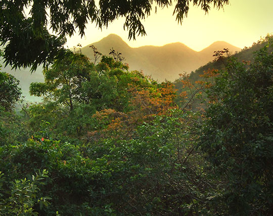 Instagram post image