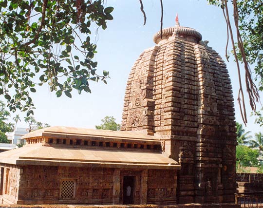 Instagram post image