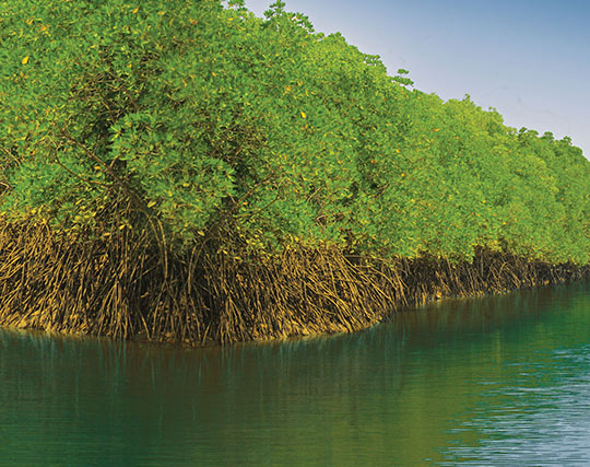 Instagram post image