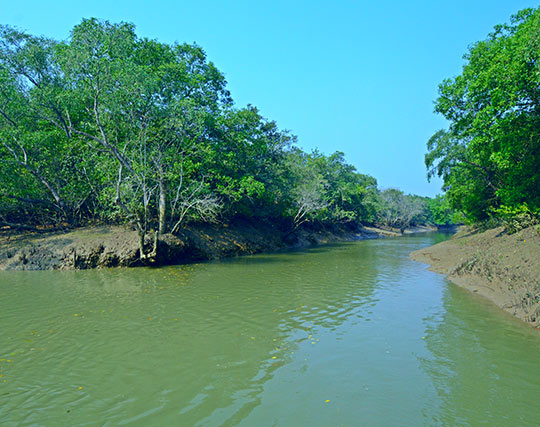 Instagram post image