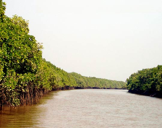 Instagram post image