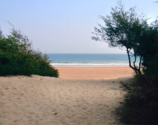 Instagram post image