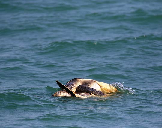 Instagram post image