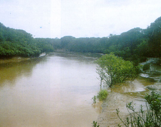 Instagram post image