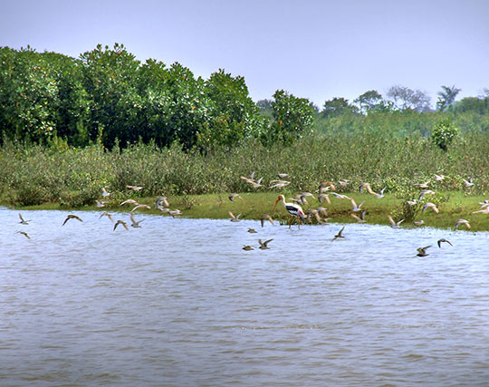 Instagram post image