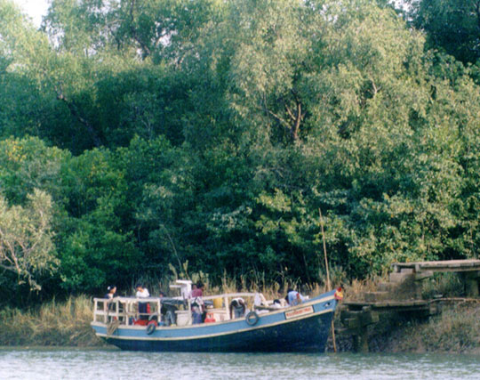 Instagram post image