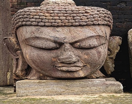 Instagram post image