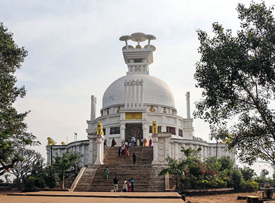 Instagram post image