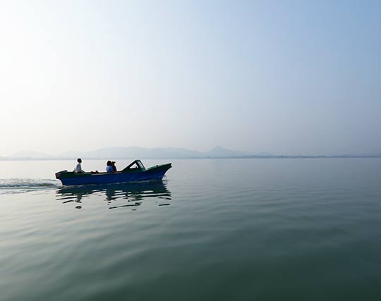 Instagram post image