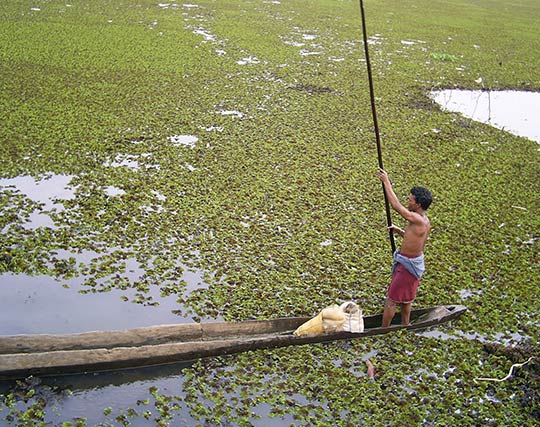 Instagram post image