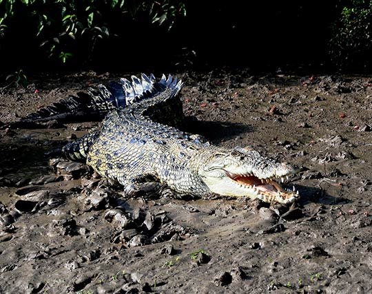 Instagram post image