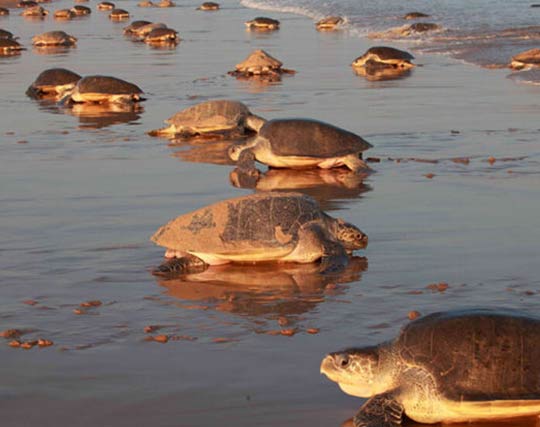 Instagram post image