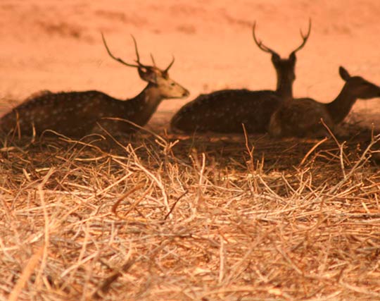 Instagram post image