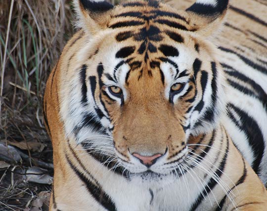 Instagram post image