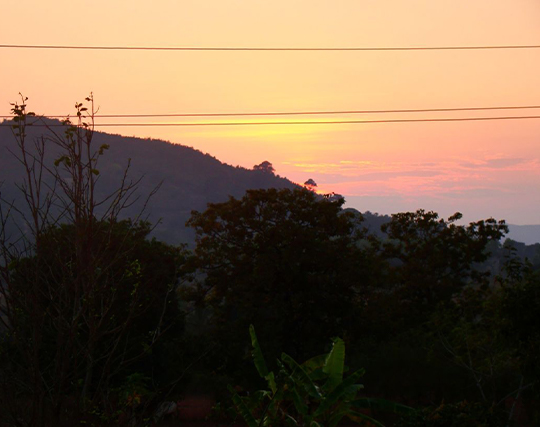 Instagram post image