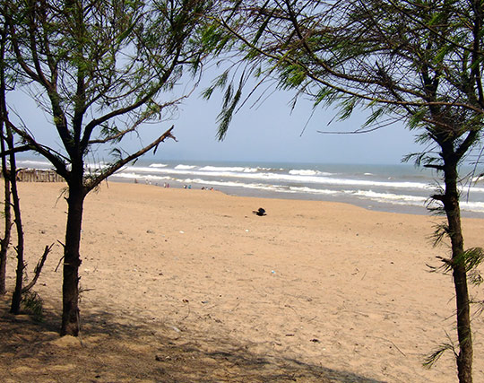 Instagram post image