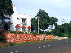Panthika Dhauli
