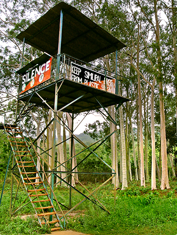 Similipal Nature Camps