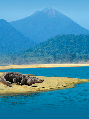 SATKOSIA SANDS RESORT (BA ...