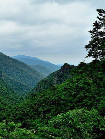 DARINGBADI (A HILL STATIO ...